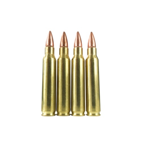 5.56 NATO 55gr FMJ — 20rd Box