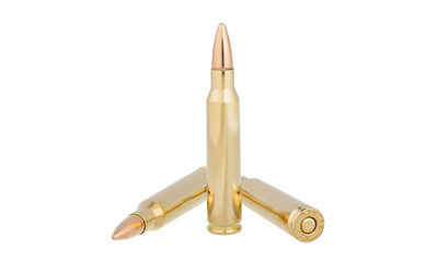 .223 Rem 55gr FMJ - 20rd Box